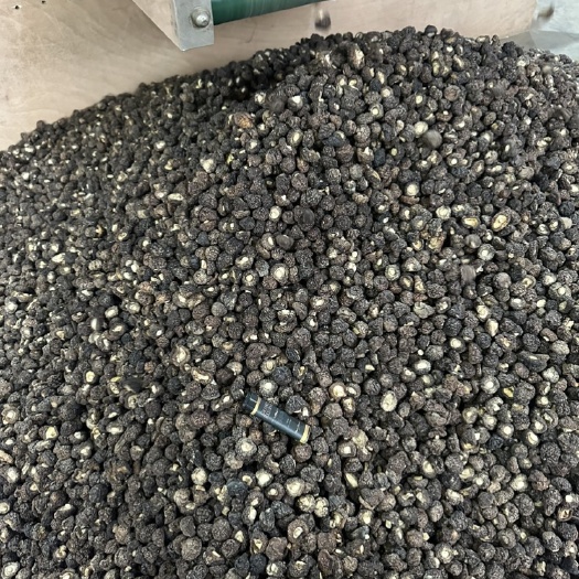 古田县金钱菇、（新货）一手货源。挑选无碎、量大从优、有需要老板联系