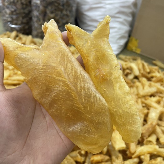 广州鱼胶，黄花胶，黄花筒