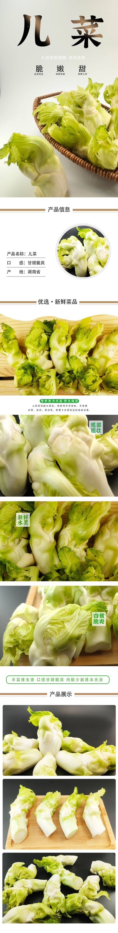 长沙儿菜
