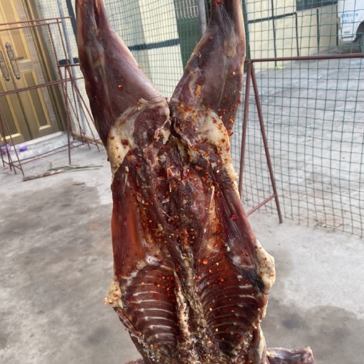 腊兔