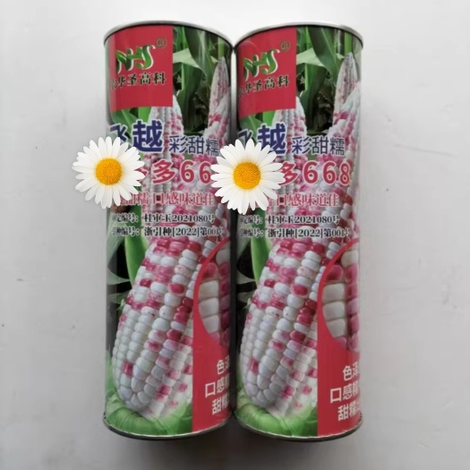 宜城市农华圣高科彩甜糯玉米种子 668玉米种子口感糯中带甜现货直发