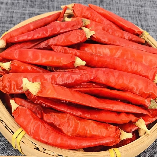 香辣艳红辣椒