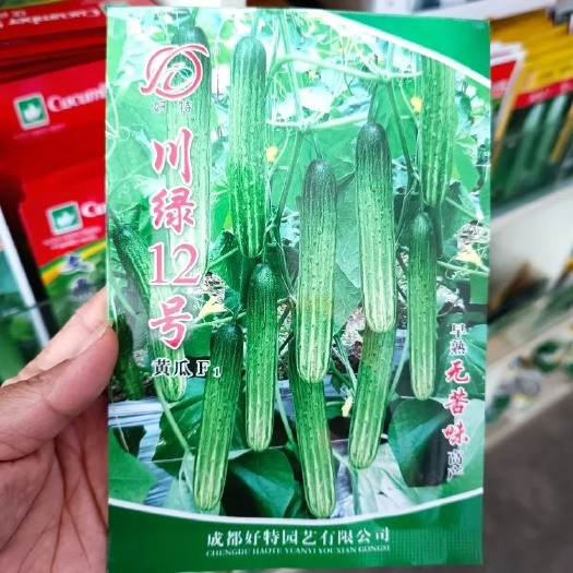 长沙县好特黄瓜种子 川绿12号 杂交黄瓜无苦味 本地黄瓜口感脆嫩