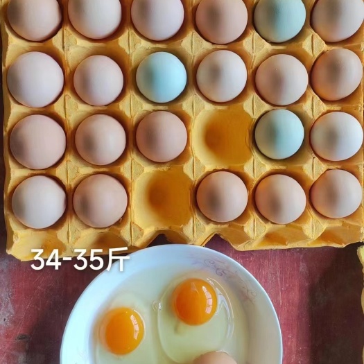 精品白凤 蒸煮炒金黄色 个大饱满 保质保量 全国包邮