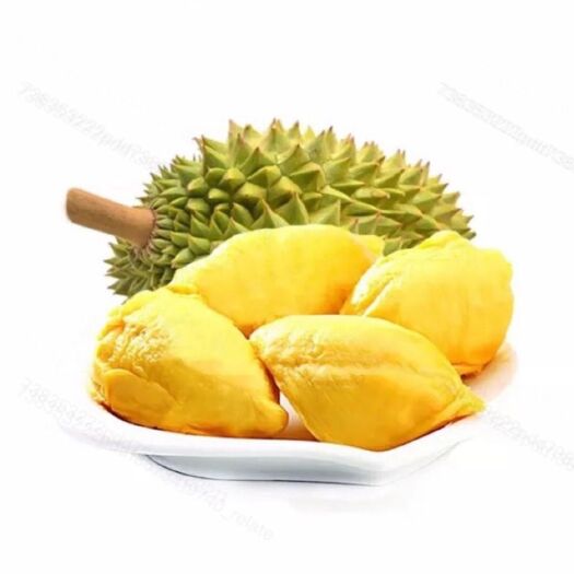 广州越南干尧榴莲
