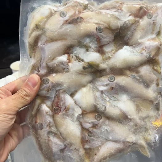 惠来县马面鱼，巴浪鱼，花相鱼