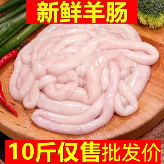 日照10斤装新鲜羊肠生羊肠羊肥肠羊拐肠羊大肠羊小肠5斤