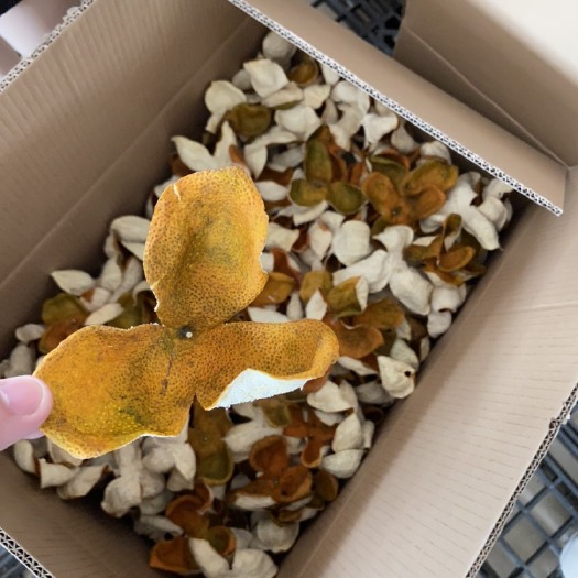 江门大红皮