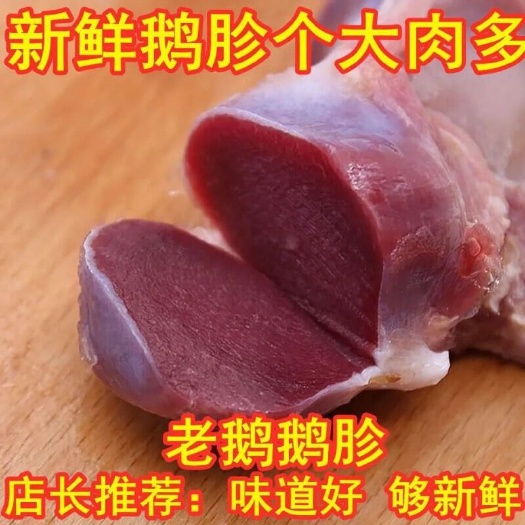 连云港新鲜鹅胗特大  鹅肫 鹅胗批发 大号鹅胗冷冻鹅胗