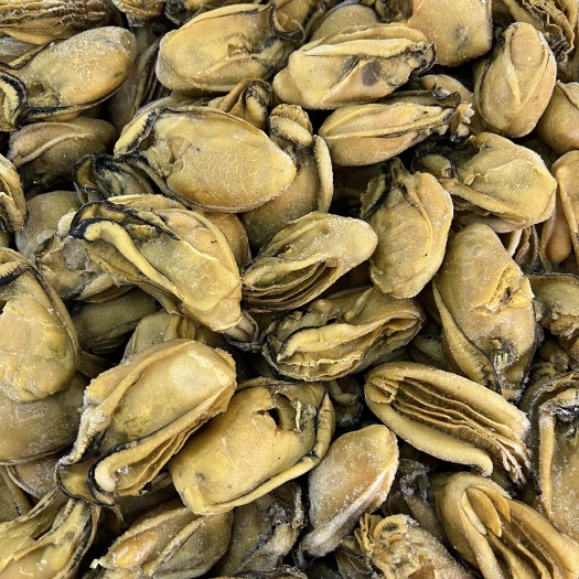 台山金蚝蚝肉蚝干不抽油蚝豉牡蛎干煲粥煲汤煮菜海味干货