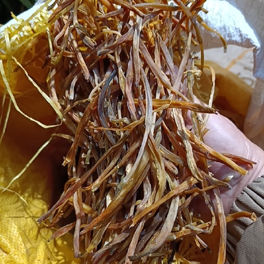 方城县熟条黄花菜