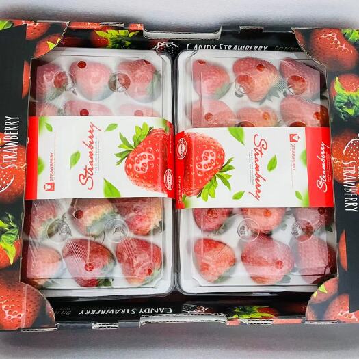 北京红颜草莓九九草莓奶油草莓四季草莓