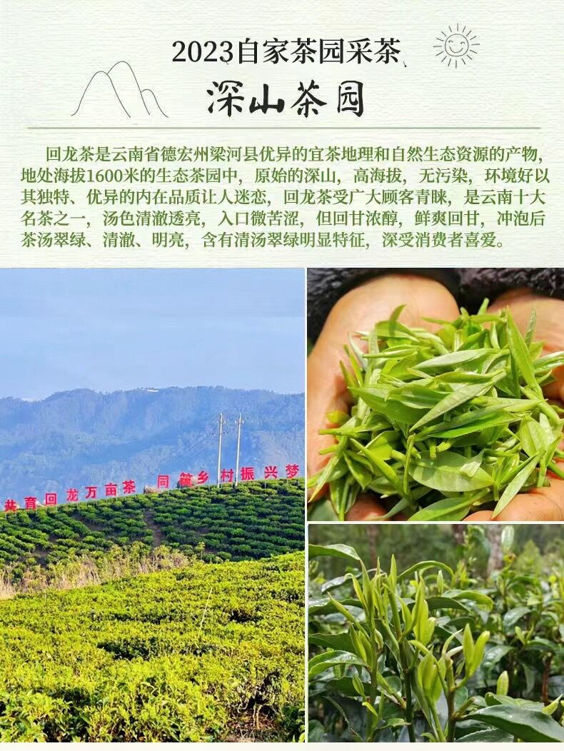 炒青绿茶回龙春茶。一个是春茶一个是混采。明前春茶，四季可喝。
