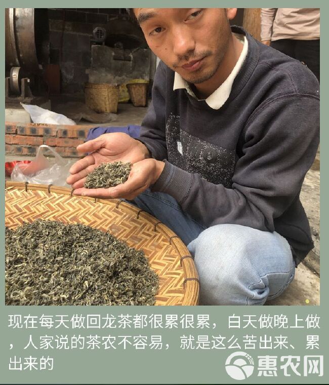 云南省炒青绿茶，梁河县大厂乡回龙寨，今年新茶回龙春茶。