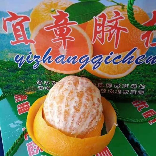 中山市原味脐橙有喜欢的朋友们可以联系我