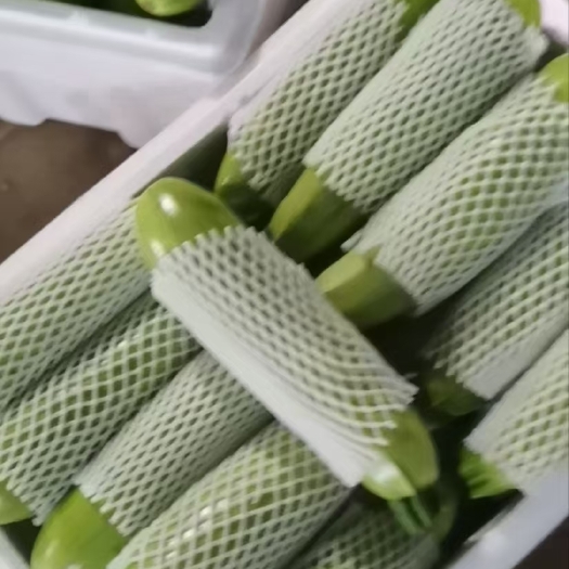 东海县绿皮西葫芦