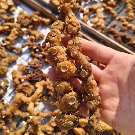 长沙纯黄精，中大个，靓，甜