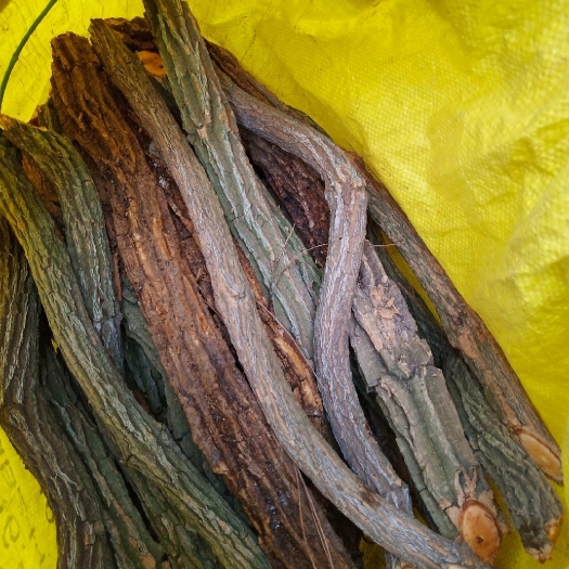 融水县断肠草根 胡蔓藤根 钩吻根 大茶药根 黄花苦蔓
