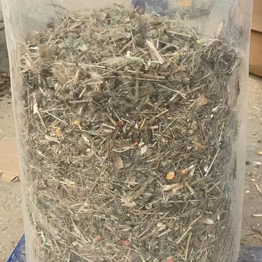 香河县大麦苗颗粒