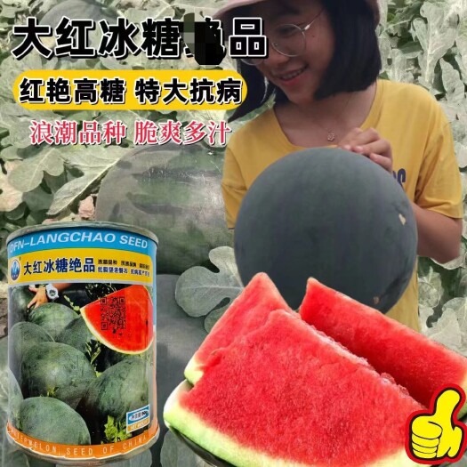 沭阳县浪潮爱花四号特大果西瓜种子中早熟西瓜种子大型特大地雷西瓜种籽