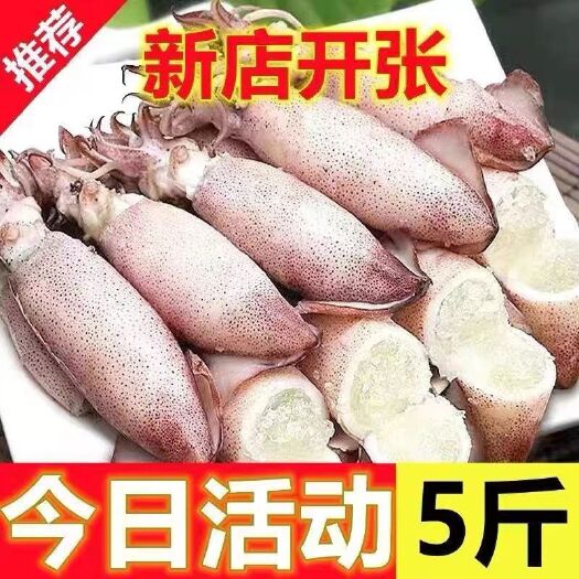 日照全籽籽乌满籽海兔子笔管鱼鱿鱼仔新鲜海鲜海兔批发