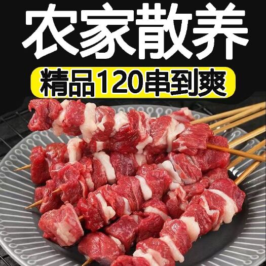 内蒙古牛肉串调理牛肉腌制半成品烧烤食材含鸭肉大串羊肉串