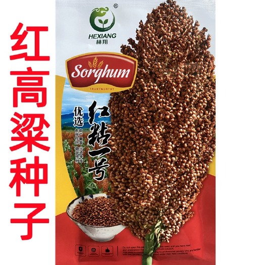 祁东县红粘一号红高粱种子原装正品粗粮高粱种子春季红高粱种子