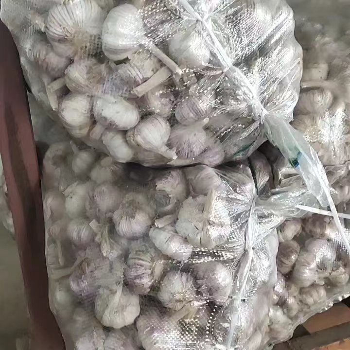 精品大蒜 紫皮大蒜  电商直供  代发全国市场  产地直发