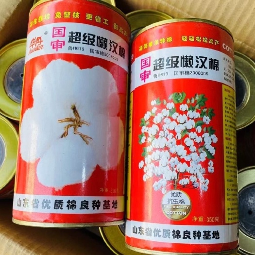 千斤懒汉棉花种子高亩抗病大铃耐旱耐湿农家大田春季播懒漠棉种籽