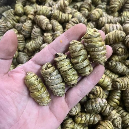 玉林紫皮枫斗石斛云南基地直销 价格优势