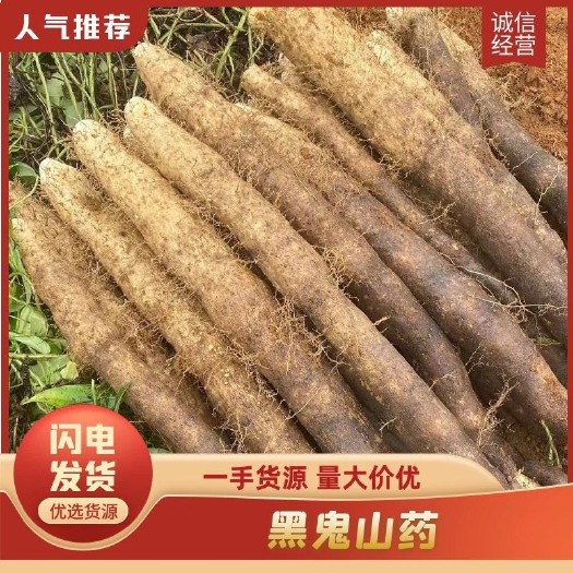柳城县【实力】黑鬼山药正式上市！需要的老板请联系我！