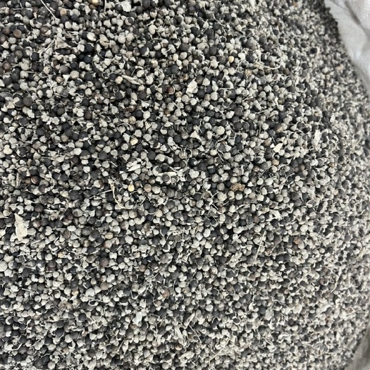 蔓荆子中药材无硫新货药用 干净无杂质产地直发 实拍图