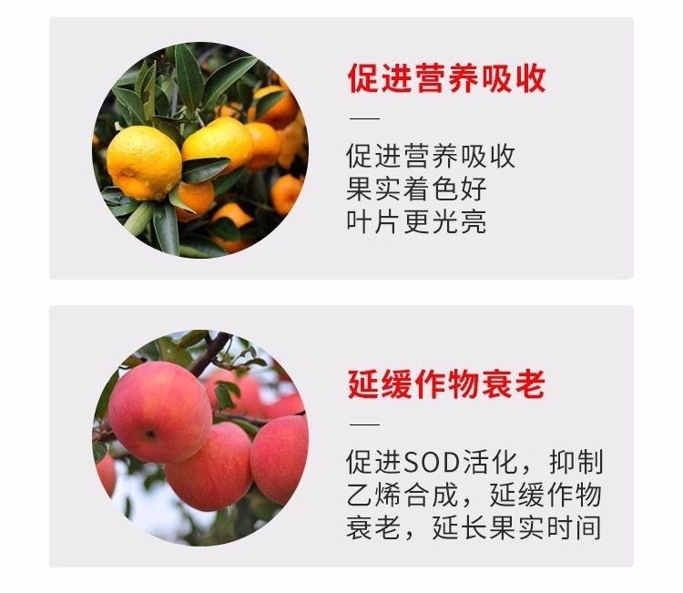 唑醚氟环唑吡唑醚菌酯白粉病锈病纹枯病叶斑病果树蔬菜花卉杀菌剂