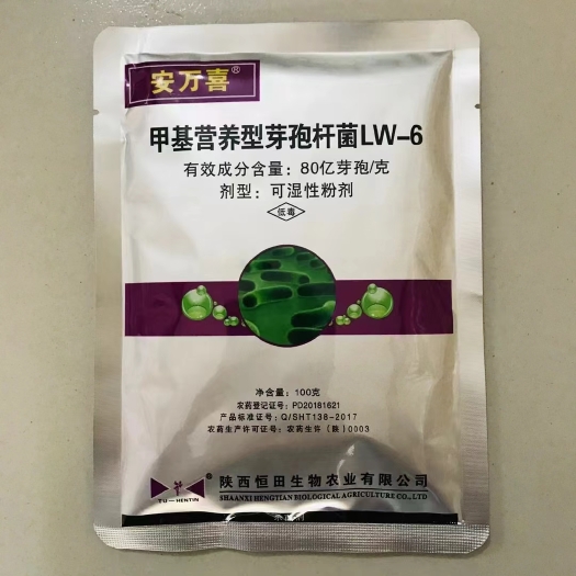 恒田安万喜 -甲基营养型芽孢杆菌LW-6 细菌性角斑病溃疡病