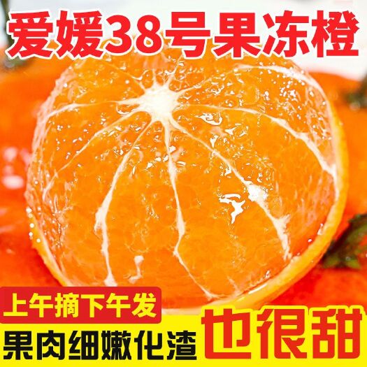 四川眉山爱媛38号果冻橙新鲜采摘产地直发品质保证售后无忧
