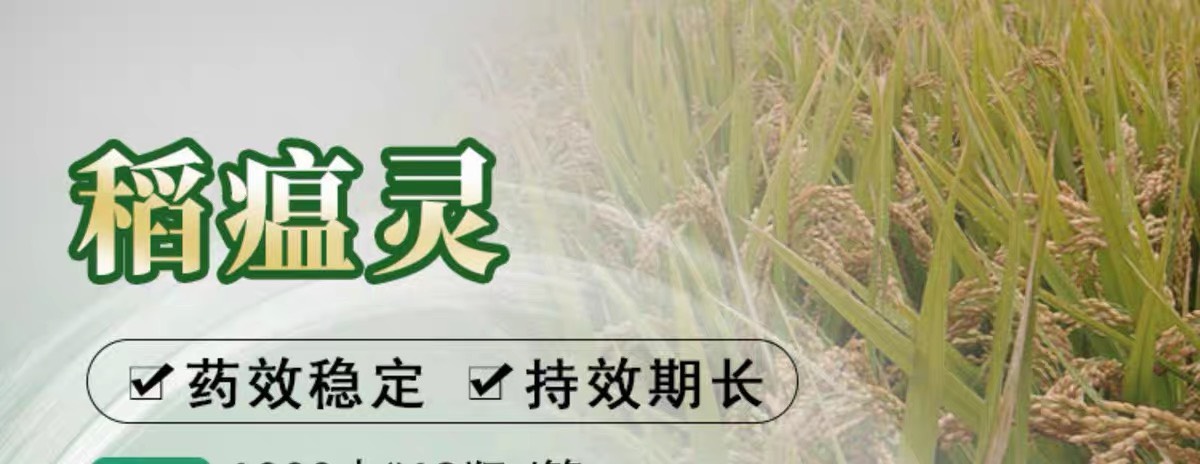 立本稻金谷40%稻瘟靈水稻稻瘟病專用強(qiáng)內(nèi)吸殺菌劑1000g大