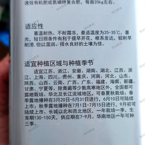 理想富先达早中熟长豆角种子 耐老化抗病丰产嫩绿色无鼠尾肉厚