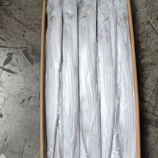 吊带，带鱼，特A级精品带鱼