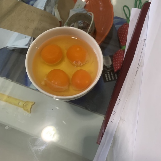 石家庄鸡蛋