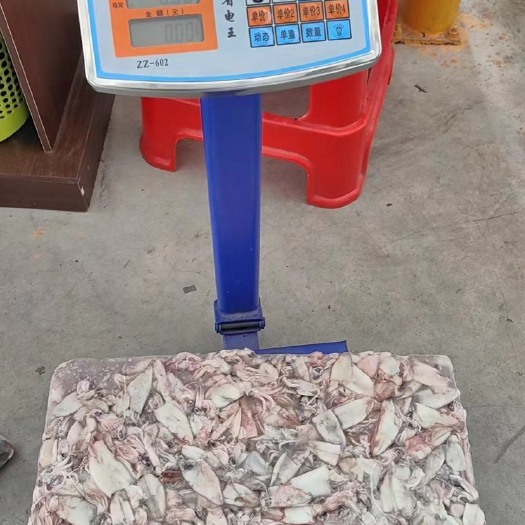 饶平县饲料鱿鱼￼￼