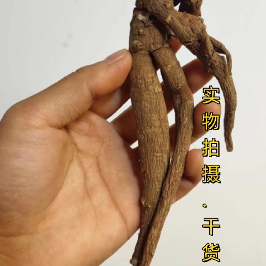 文山市七米山 无硫当归煲汤泡水 可搭配黄芪姜根茎泡水茶煲汤姜