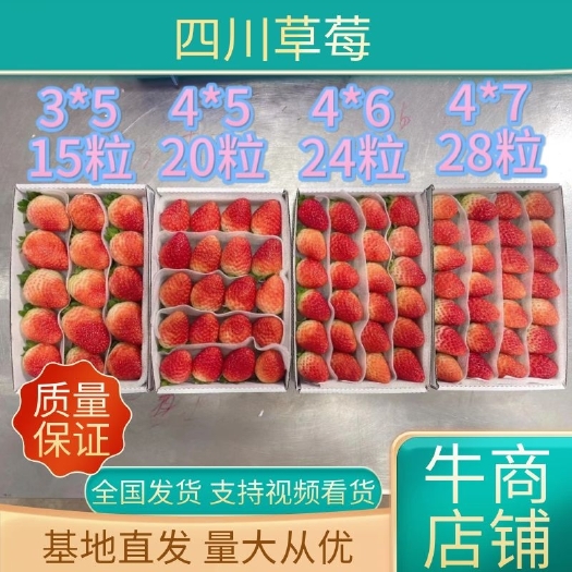 云南夏草莓商用适用于糖葫芦奶茶蛋糕用，果形美、颜色靓新鲜采摘