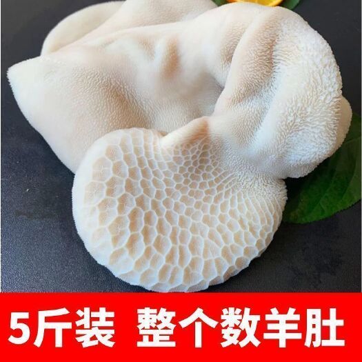内江5斤新鲜熟整个羊肚丝山羊肚蒸汽羊肚新鲜牛杂新鲜羊杂纯羊肚熟食