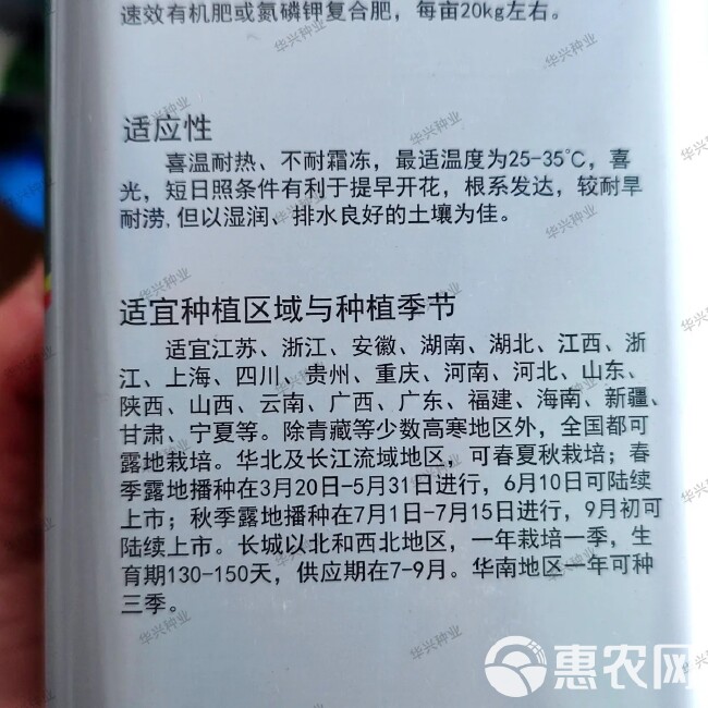 理想富先达早中熟长豆角种子 耐老化抗病丰产嫩绿色无鼠尾肉厚