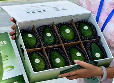 孟连县牛油果