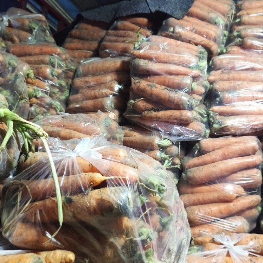 东莞市河南葫芦卜水果胡萝卜