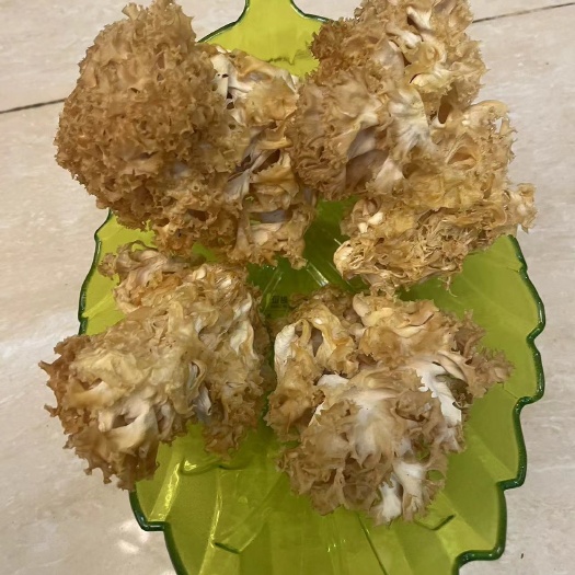 仙游县干绣球菌