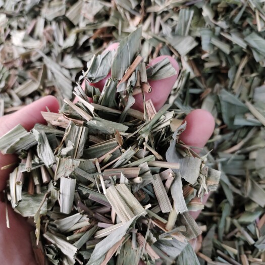 玉林批发淡竹叶中药材