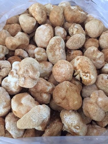 六盘水干猴菇