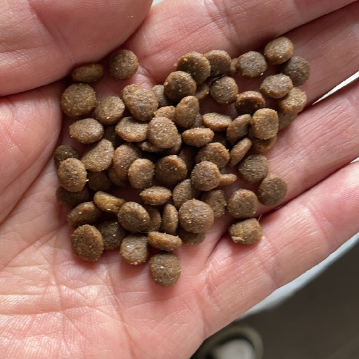 天津和国产拆包猫粮狗粮